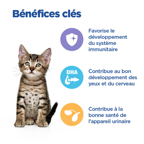 Vetessentials chaton 1kg500
