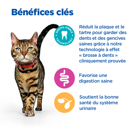 Vetessentials DENTAL chat adulte 6kg500
