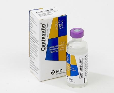 Caninsulin 10ml