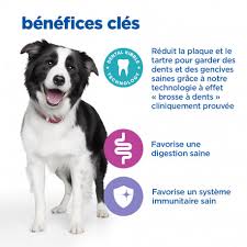 Vetessentials adulte DENTAL 7 kg